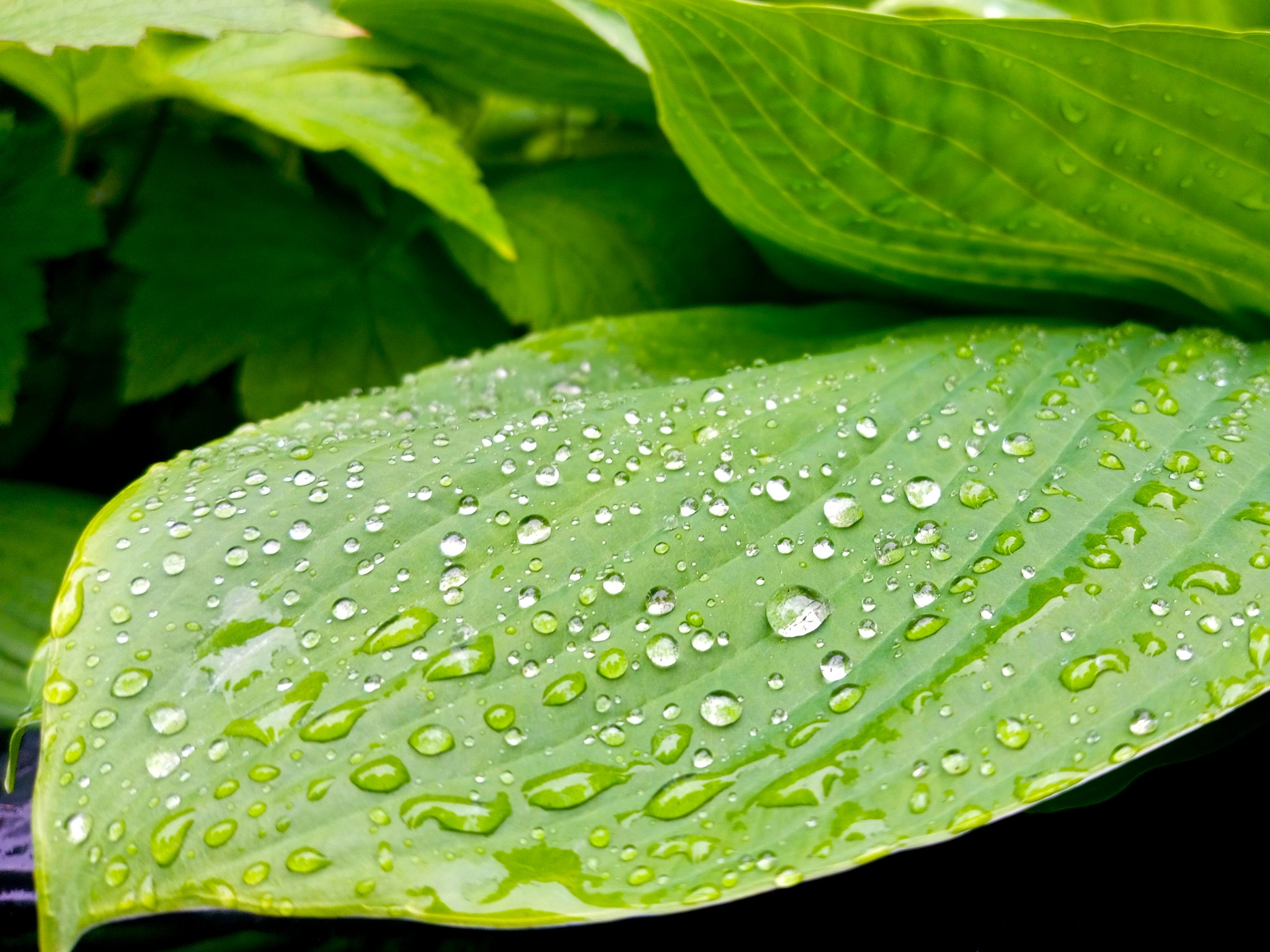 Where rain leaves its mark